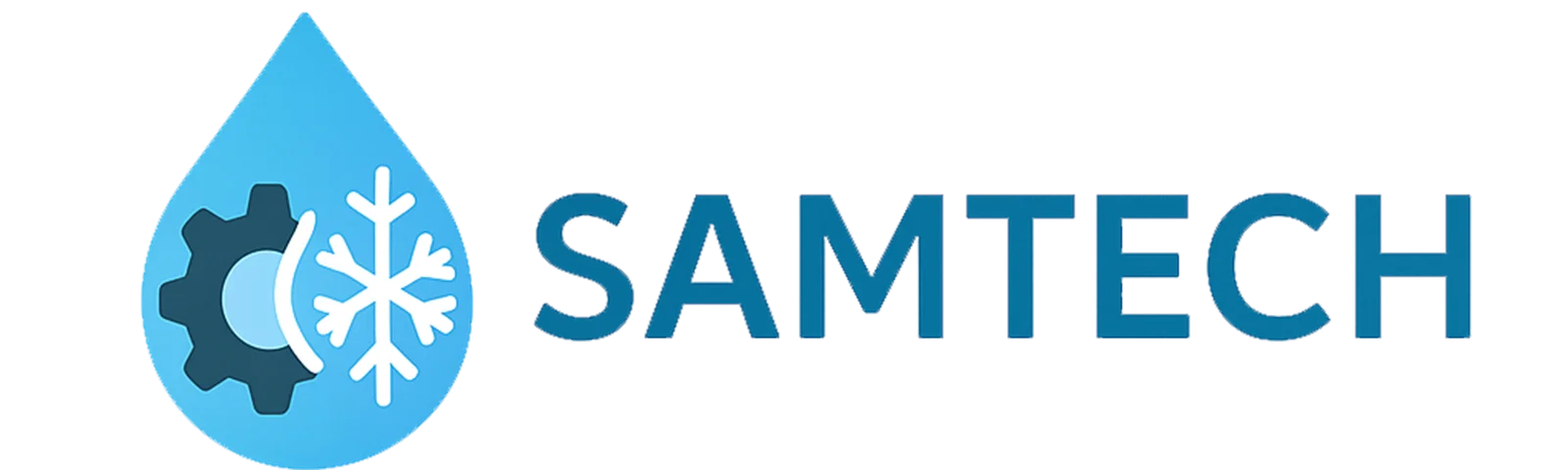 Logo SAEIKI